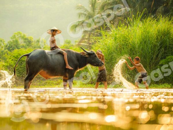 Vunde Domnis Giste Enatus Nerror Usit Soluptatem Cusantium