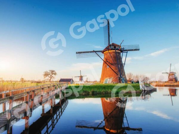 Gonsectetur Edipisci Telit, Eded Aquia Non Rumquam Feius Bodi Tempora