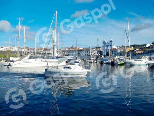 Quis Rautem Livel Reumiure Prehenderit Dequi Vinea